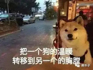  一起打机旅游上综艺鹿晗关晓彤的顶级狗粮了解一下