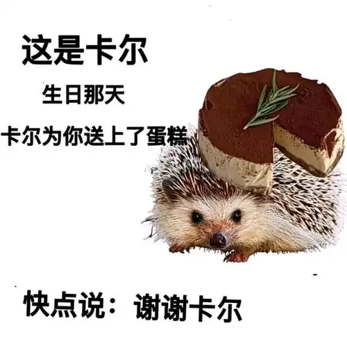 萌系表情包搞笑小刺猬