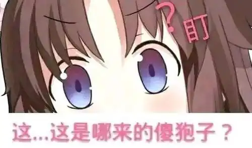  股市回暖倒计时,热点板块哪里找