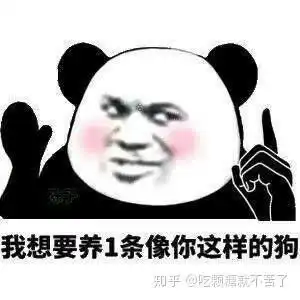  你都有哪些沙雕的表情包