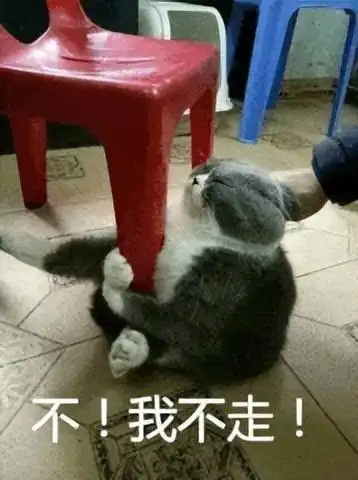  win10系统可能要收费了427,美元