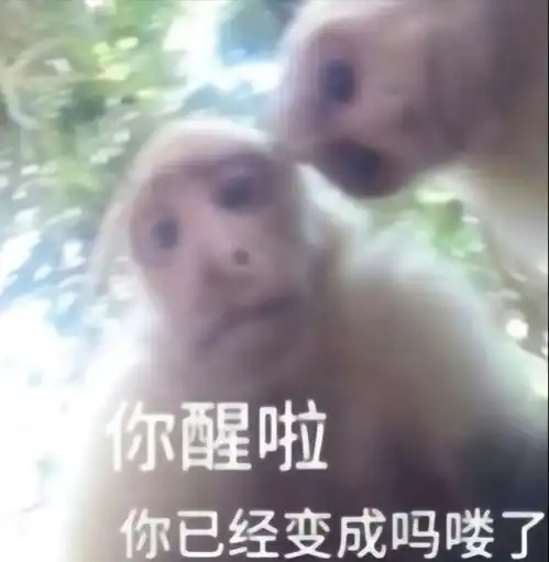  轻松一刻韩国请求我国赠送2只大熊猫,网友炸了