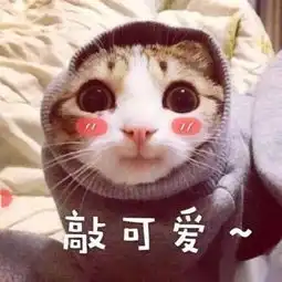  求求网红别再每天p图发自拍了,太假看完腹肌对比图后我崩溃了哈哈哈哈...