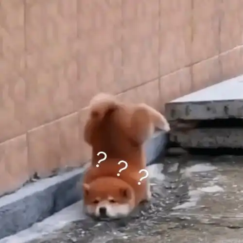  发完这篇文章,我可能要失业了...