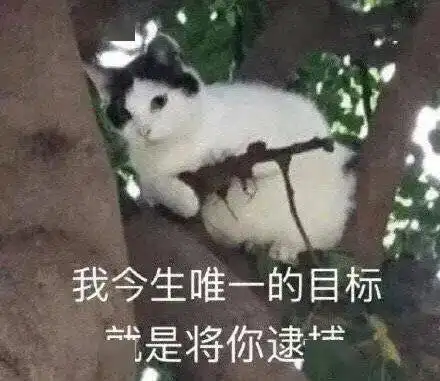 傻笑表情包可爱的喜欢的人