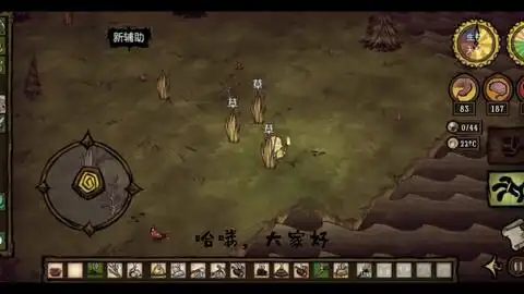  饥荒萌新温蒂生存第二期,猪人干架,火烧猪营