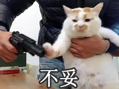  七夕前夜送给天下有情人一套恋爱送命题