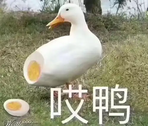  杭豆没意思了,来上豆骚浪贱一下