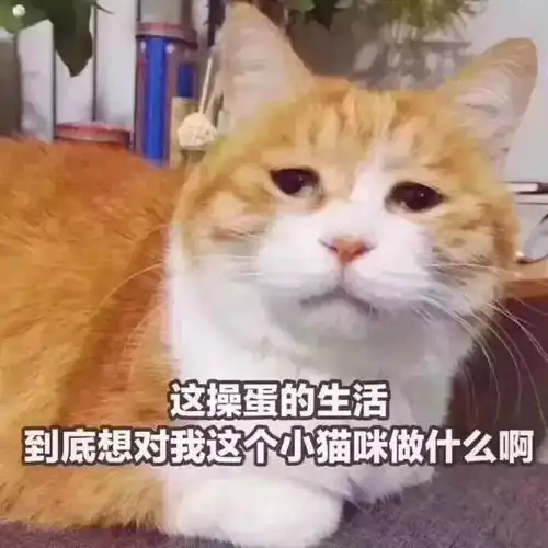  注意明天起,这种公交卡不能充值了快看你手里有没有