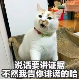  俊介犬楼楼猫,那些年的网红宠物,谢谢你们带来的治愈和陪伴
