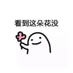  表情包