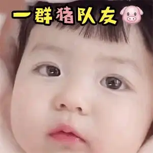 猪一的队友谁表情包
