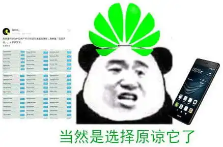  原谅绿是什么梗附原谅绿表情包