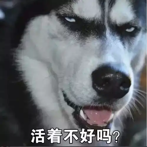 妈咪表情包大全香蕉和冬