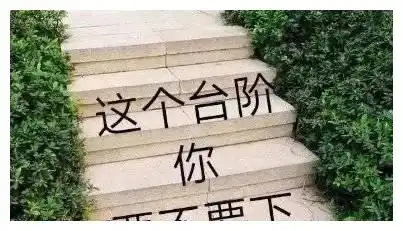 给你个台阶下表情包术数