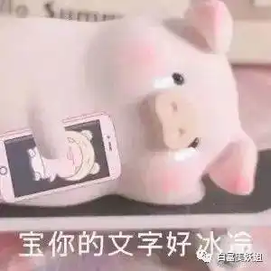  新晋网络名媛消亡史