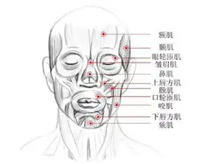  男子在微信上给客户发表情反被投诉这个表情太阴阳怪气了