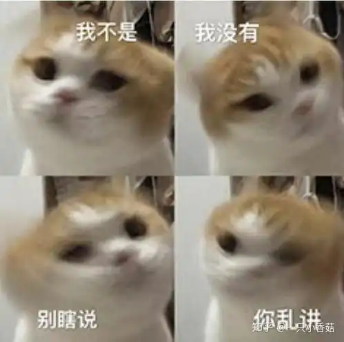 瞎说什么实话表情包沙雕
