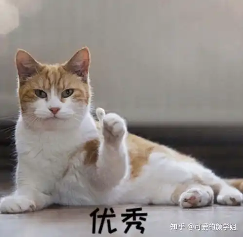 huh猫表情包动图朋友圈