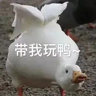  秋季预选赛好技术搭配黑科技,后生可畏鸭