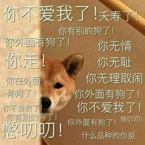  大路的相册表情包们