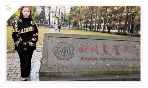  国家公办,省级重点成都市蜀兴职业中学招生简章来了