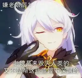  崩坏三表情包第十七期内含封面