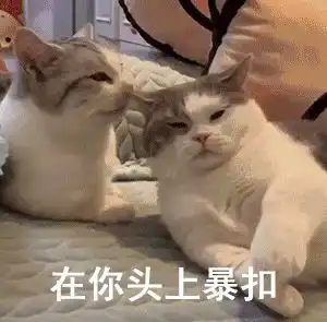  怼男朋友的表情包,惹火了我就发发发,发不停