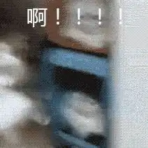  有这样的猫表情包的动图吗