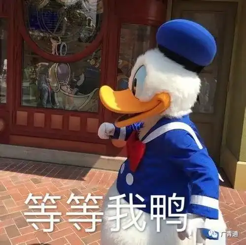 表情包鸭鸭打劫
