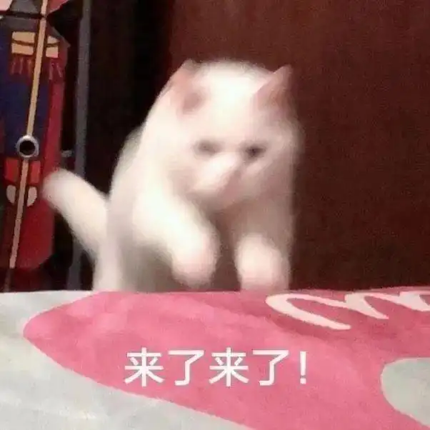  第十六届社团巡礼招新啦