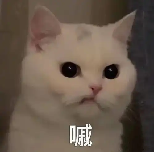 huh猫表情包动图公司库