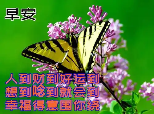  下午好动态表情图片大全,秋天问候语句子