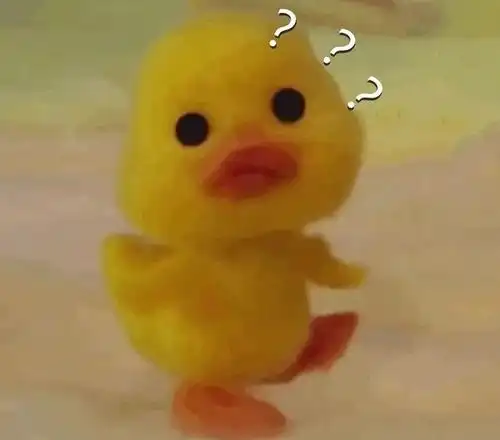 小黄鸭要红包表情