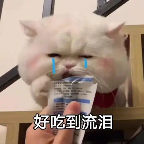  表情包天真灿烂,尘世游漫