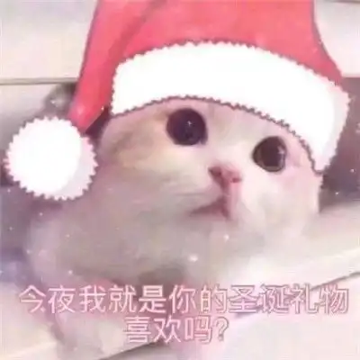  圣诞帽猫咪表情包可爱圣诞节微信表情包超萌