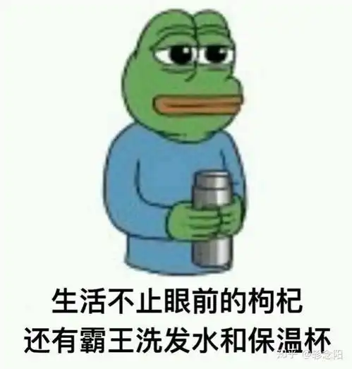 希望工程图片表情包衣服