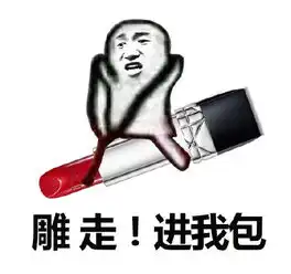  香奈儿我们走表情包