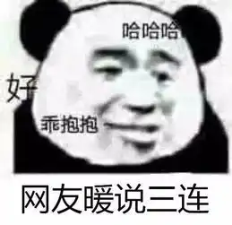  熊猫头表情包不说晚安了,我要和你一起睡觉