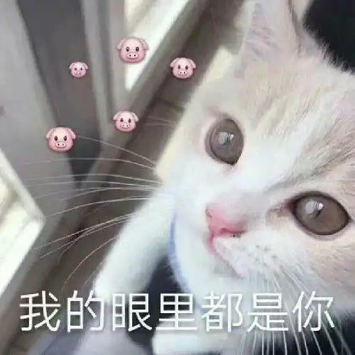  莫文蔚,汤唯,甚至张国荣都是英国大学毕业,那么美国大学有排名,英国应该大学如何选择呢