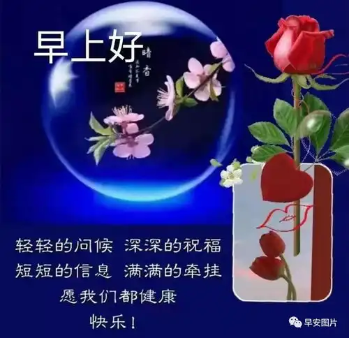  晚上好图片大全,晚上问候,晚上好祝福,晚上好表情包图片,夜夜好梦