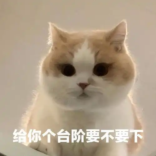  收表情包的快乐时间