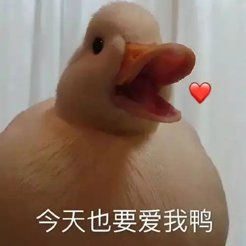  来自水果家族的自我剖析