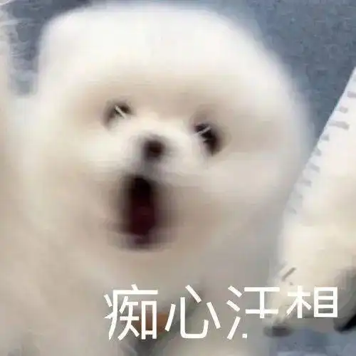  表情包这样聊天的女生太可爱了