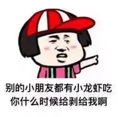  火炬之光手游职业套装效果