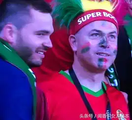  一个伪球迷抓拍的世界杯场上球迷的各种表情,堪称表情包