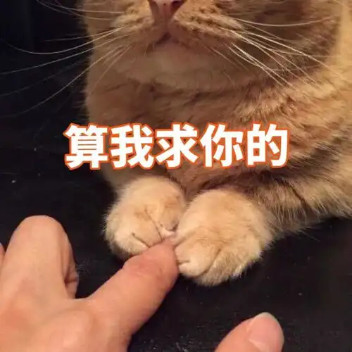  14款口碑超好的防晒霜,我最爱的那款只要70块