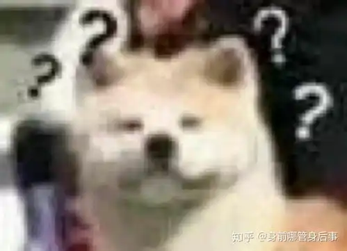huh猫表情包动图傻子