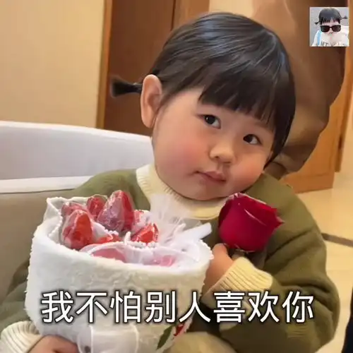  y鱼与羽表情包的头条主页今日头条