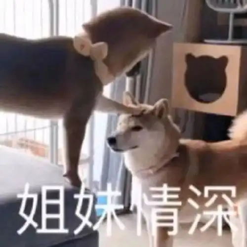  表情包你真的不要我了嘛